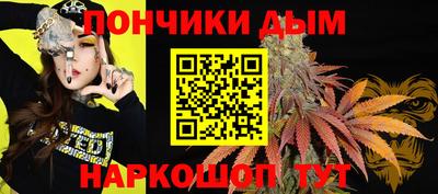 крисы Беслан