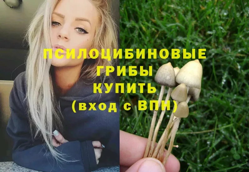 где купить наркоту  Северск  Галлюциногенные грибы Magic Shrooms 