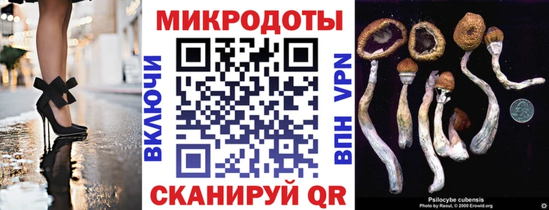 Псилоцибиновые грибы ЛСД  ссылка на мегу как зайти  Северск 