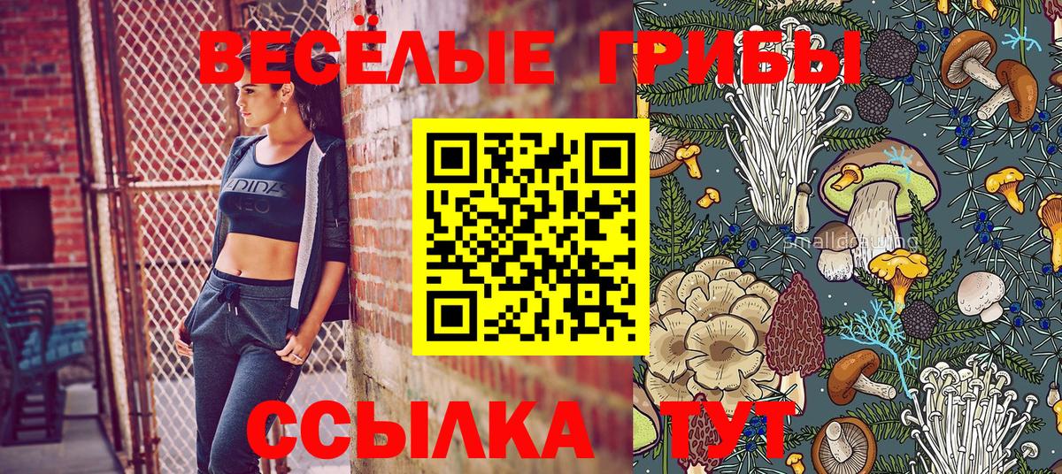 Галлюциногенные грибы Psilocybe  Вход с VPN  Северск  как найти   Псилоцибиновые грибы мухоморы 